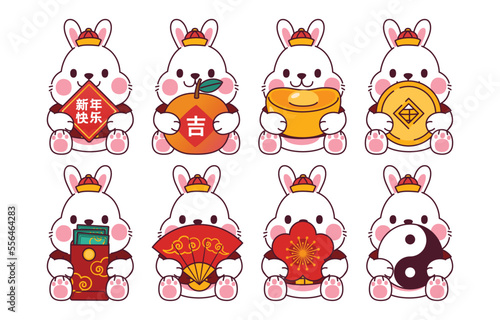 Cute White Rabbit Charactor Hold Chinese Decoration, Vector, Illustration, Translate : Happy New Year, Lucky