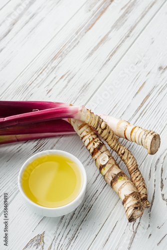 fresh yarrow root on a white acrylic background photo