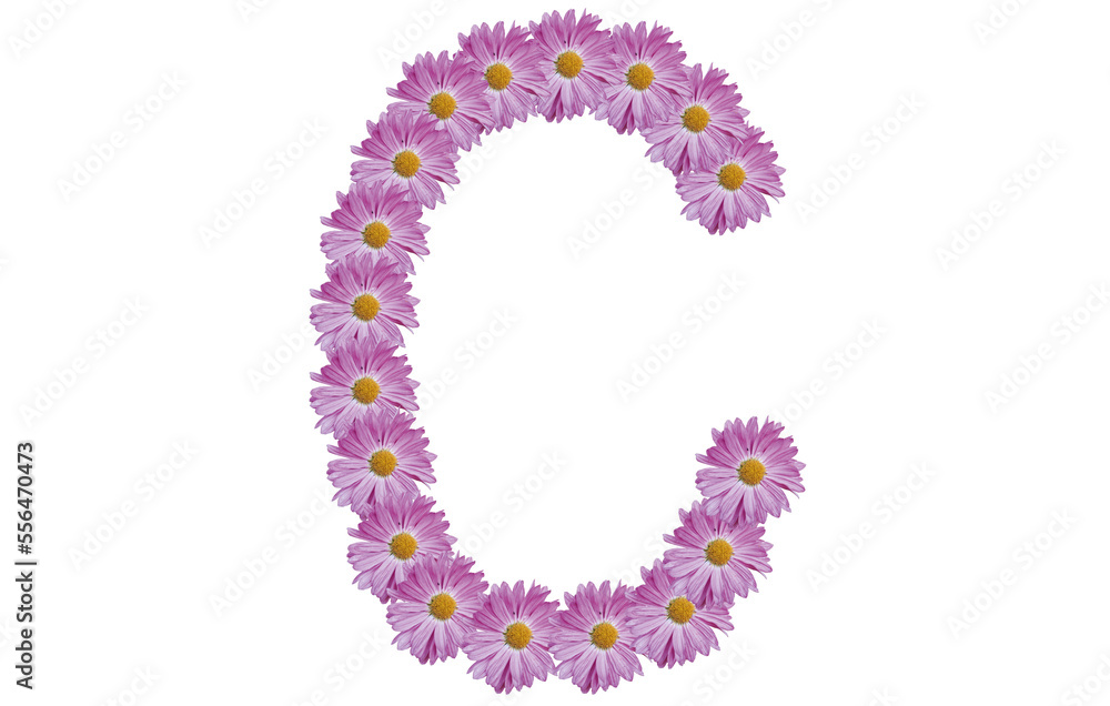 Letter C made with pink flower isolated on white background. Spring concept idea.
