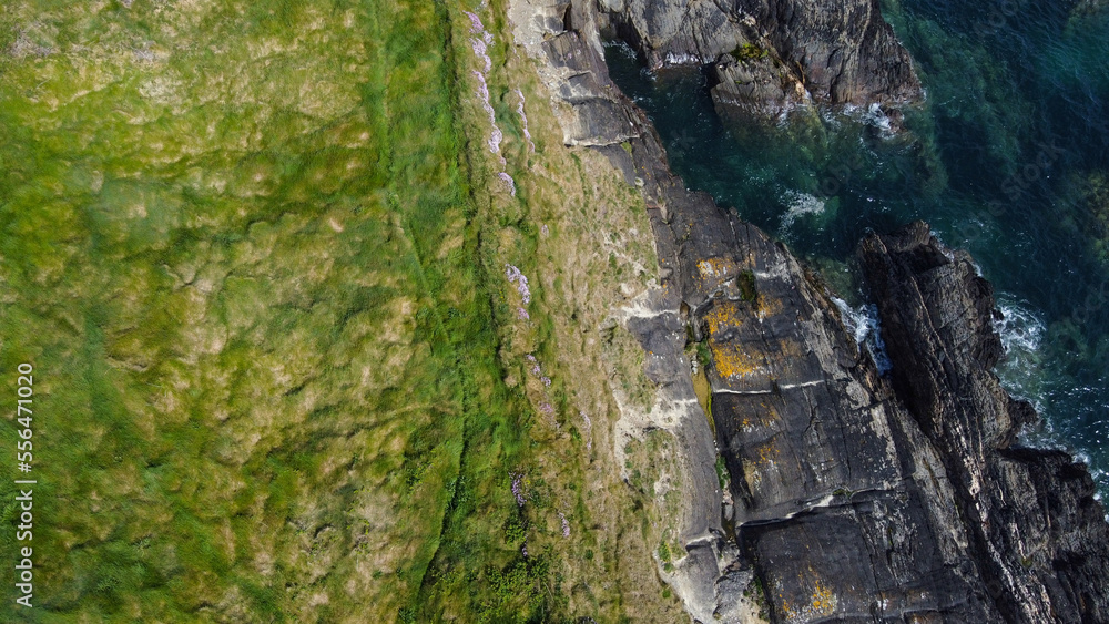 Dense thickets of grass. Grass-covered rocks on the Atlantic Ocean coast. Nature of Ireland, top view.