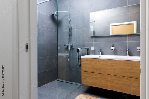 Bathroom design  modern interior. Gray  brown and white colors