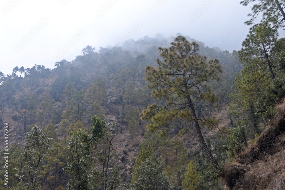 beautiful landscape with clouds in uttrakhand, india beautiful landscape with clouds in uttrakhand, india