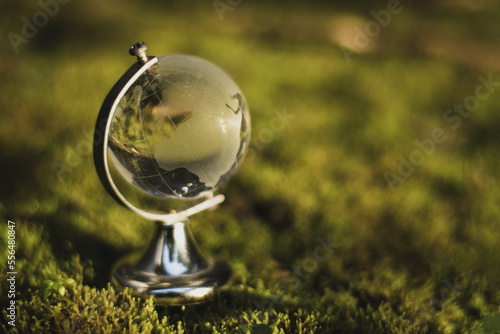 Globe Glass In Green Forest Environment Concept.