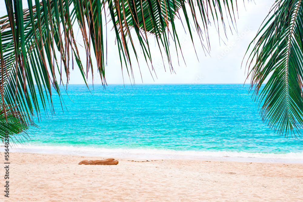 Naklejka premium Tropical beach with white sand and azure sea, hanging palm leaves. Seascape