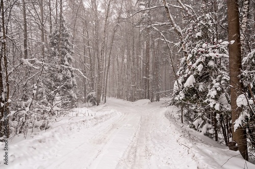 A snow-covered road in the forest splits into two roads