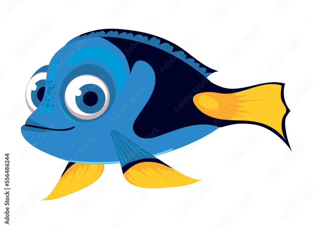blue surgeonfish animal blue surgeonfish animal