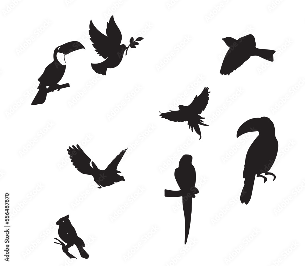 Fototapeta premium Illustration drawing style of parrot birds collection