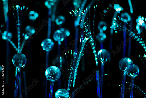 White and blue fiber optic strands or filaments creating a magic fantastic abstract background © Michele Ursi