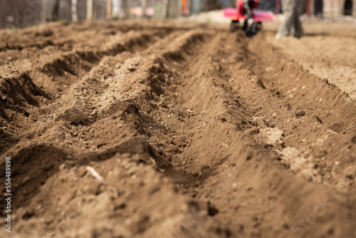 Farmer man plows the land with a cultivator preparing the soil for sowing.  Selective focus.