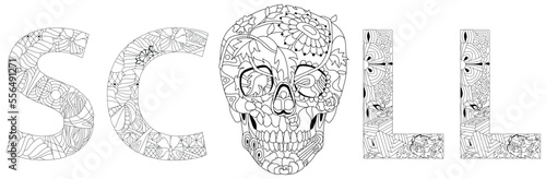 Zentangle stylized word scull. Hand drawn decorative vector illustration for coloring