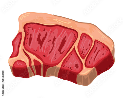 meat sirloin icon