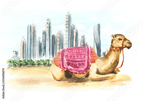 Camel resting on the Marina beach. Dubai, United Arab Emirates. Hand drawn watercolor illustration isolated on white background