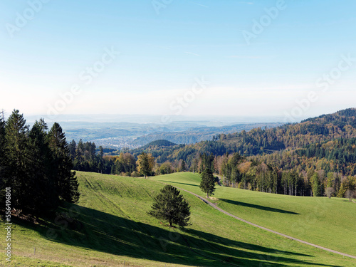 Black Forest landscape around Gersbach in Germany, forested hills and green pastures with view in the valley of Wiese and Town of Schopfheim 