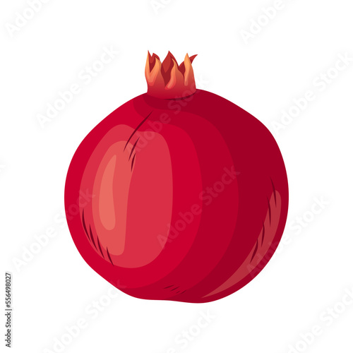 pomegranate fruit cartoon. red ripe, seed organic, half piece, leaf juicy, part cut, fresh food, natura, raw pomegranate fruit vector illustration