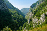 Beautiful mountain gorge. Panoramic view of the mountain peaks. View from a high point on the picturesque mountain valley, sharp cliffs pierce through thick lush vegetation. Sunny summer day, blue sky