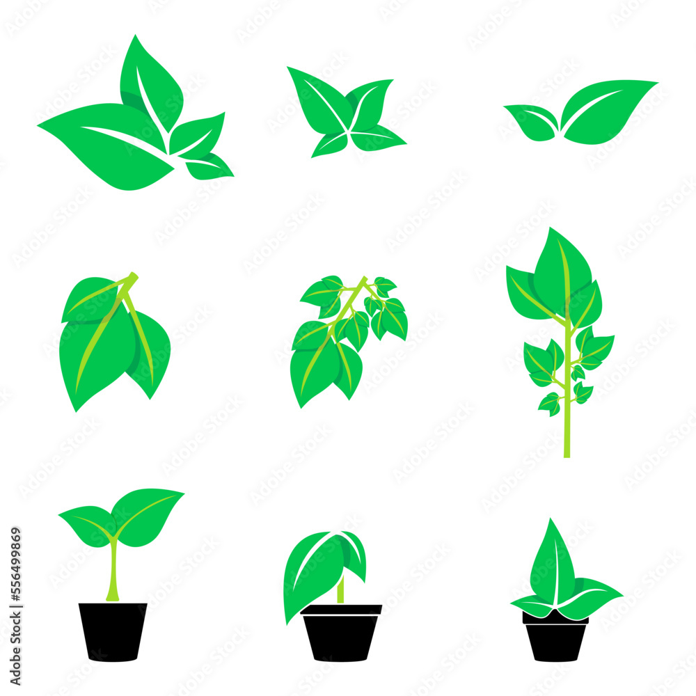 ilustraciones de hojas verdes en diferentes posiciones para ...