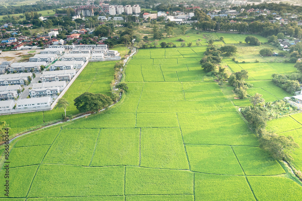 Land, landscape of green field in aerial view. Include agriculture farm, house building, village. That real estate or property. Plot of land to housing subdivision, development, sale or investment.
