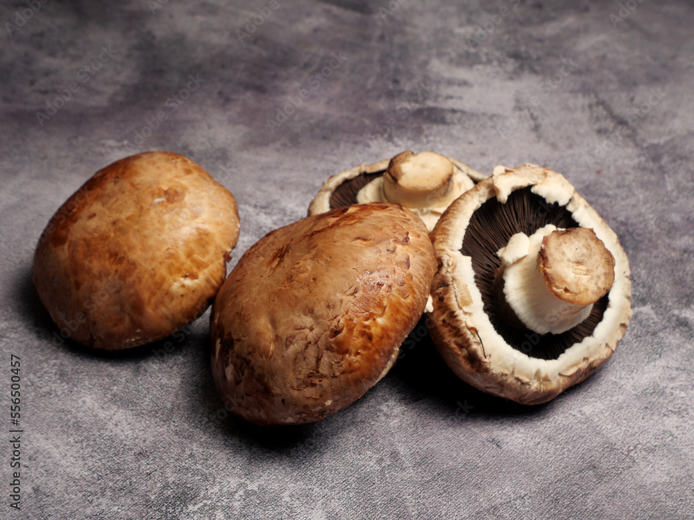 Portobello mushroom isolated on a black background Portobello mushroom isolated on a black background