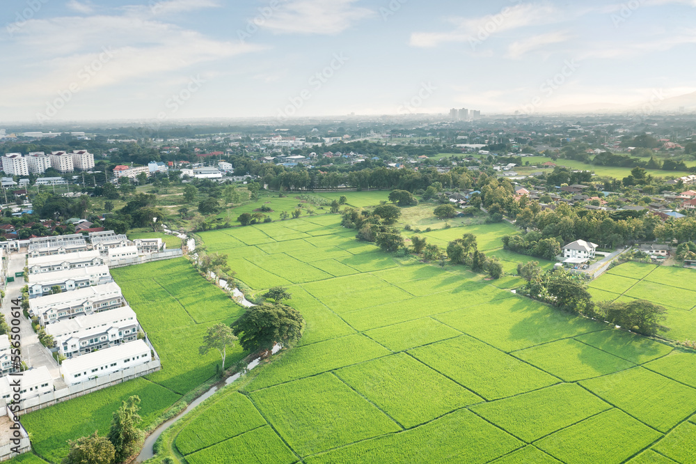 Land, landscape of green field in aerial view. Include agriculture farm, house building, village. That real estate or property. Plot of land to housing subdivision, development, sale or investment.
