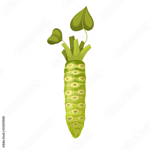 wasabi food cartoon. asian japan, japanese green, sushi raw, spice sauce, healthy meal, fresh cuisine, asia wasabi food vector illustration