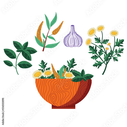 Homeopathic Plants Wooden Bowl with Herbs