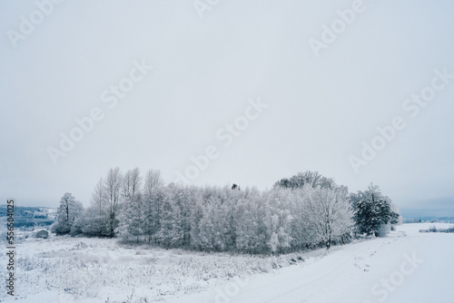 Winter of rural Toten, Norway, in Christmas time.