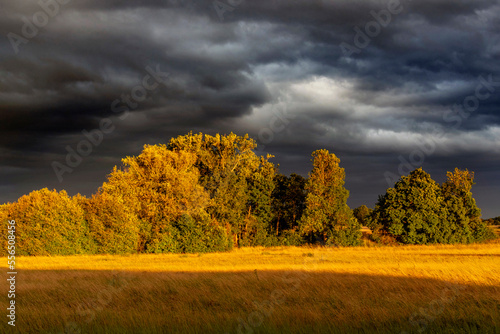 Baumgruppe an der Nidda m Frankfurter Grüngürtel bei Bonames im Abendlicht mit dramatischer Wolkenstimmung photo