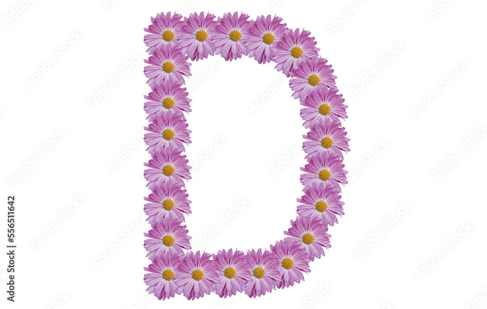 Letter D made with pink flower isolated on white background. Spring concept idea.