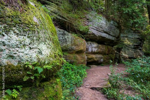 Hiking path on the Ledges Trail in Cuyahoga Valley National Park photo