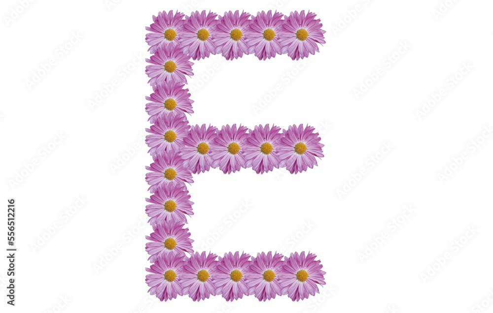 Letter E made with pink flower isolated on white background. Spring concept idea. Letter E made with pink flower isolated on white background. Spring concept idea.