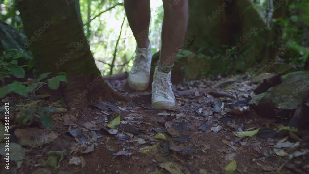 Close Up Of Male Hiker'S Legs Hiking In The Forest
Close Up Of Male Hiker'S Legs Hiking In The Forest
