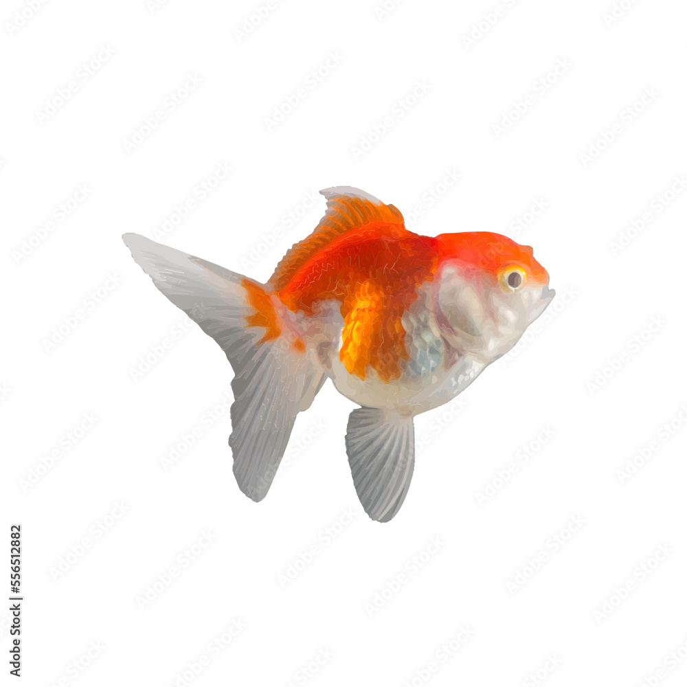 Fototapeta premium goldfish design with transparent background is very beautiful