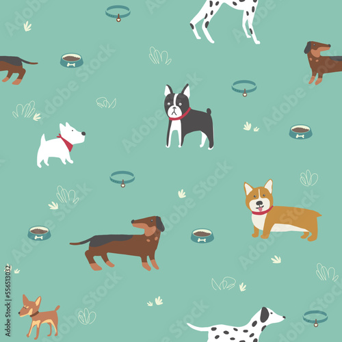 Seamless pattern with dog types on the mint background. Different breeds. Corgi, Chihuahua, Dalmatian, Spitz, pug-dog. Isolated print with brown dog. Adorable pets for kids.