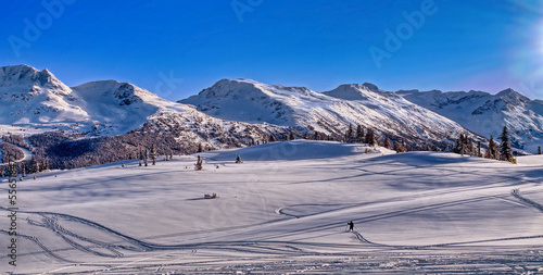 Back country skiing in British Columbie photo