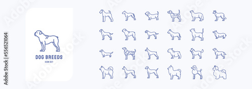 Dog Breeds illustration icon