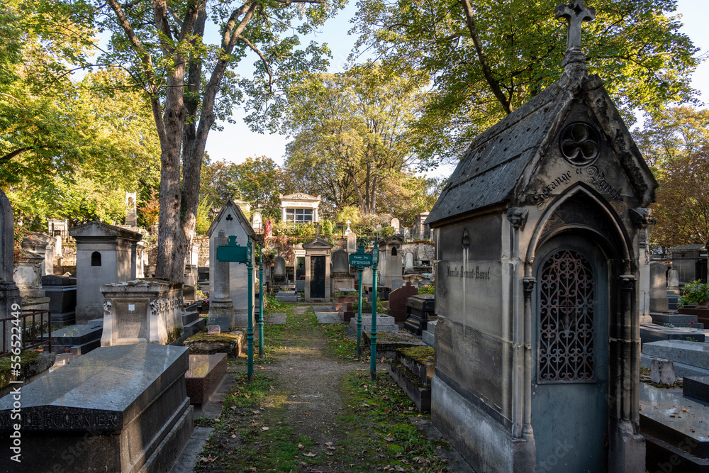Fototapeta premium Montmartre cemetery in Paris France in a sunny day in autumn
