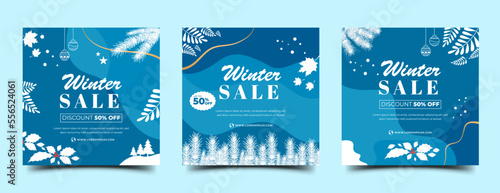Set of Winter sale banner with leaves decoration. Editable vector template usable for social media post, greeting card, cover, and web
