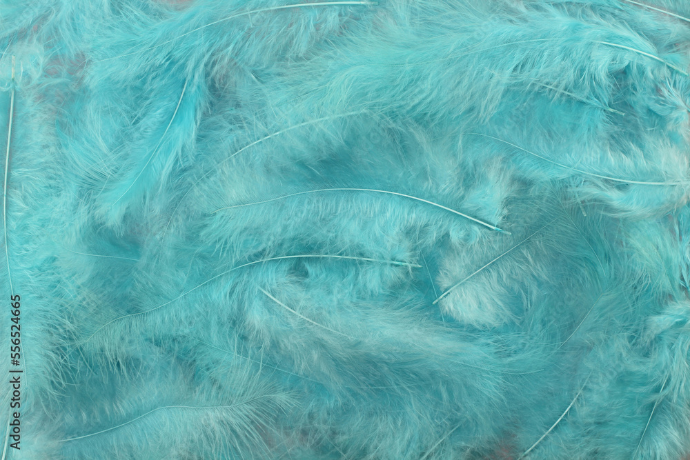 Obraz premium Background - small light turquoise plumes situated irregularly