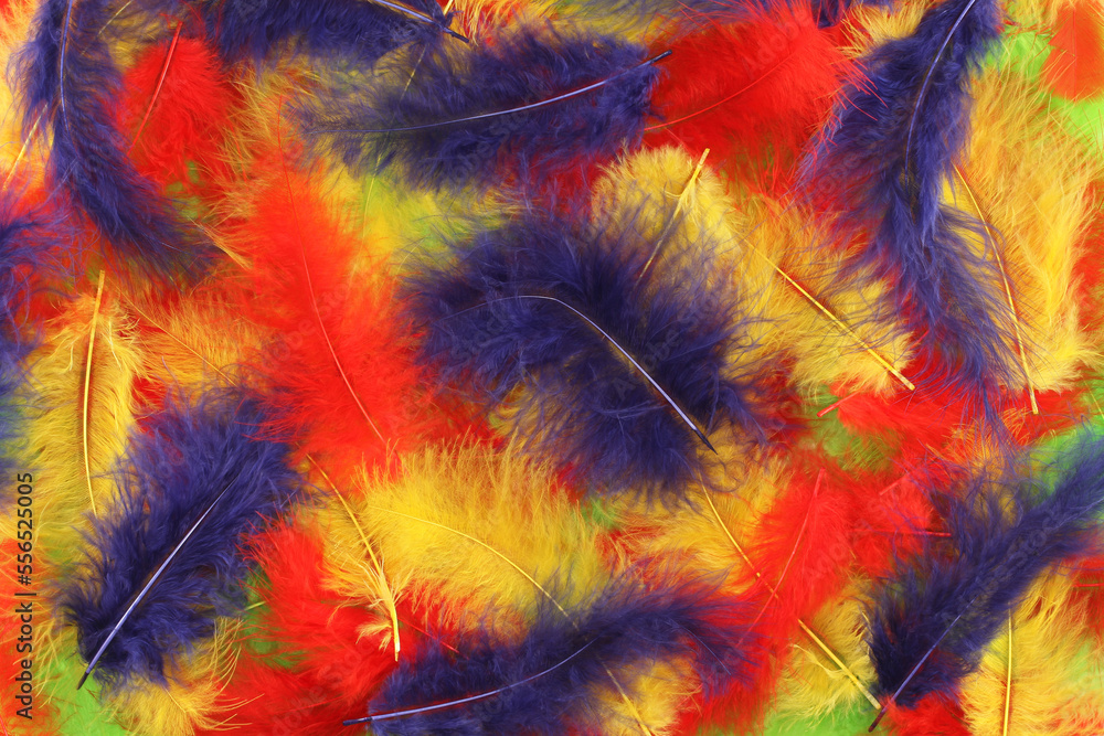 Background - small red, blue, green, yellow plumes situated irregularly Background - small red, blue, green, yellow plumes situated irregularly