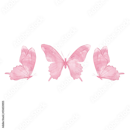 pink butterfly watercolor design
