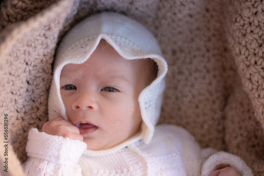 beautiful portrait of adorable mixed ethnicity Asian Caucasian baby girl a few weeks old lying on baby cart wearing a sweet hat in new life and newborn concept beautiful portrait of adorable mixed ethnicity Asian Caucasian baby girl a few weeks old lying on baby cart wearing a sweet hat in new life and newborn concept