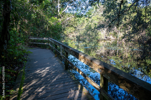 Gumbo Limbo Trail boardwalk in Everglades National Park on calm sunny morning over sawgrass and water lilies. photo