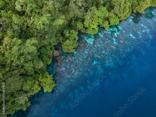 Lush jungle on a remote tropical island is fringed by a coral reef in the Solomon Islands. This beautiful country is home to spectacular marine biodiversity and many historic WWII sites.