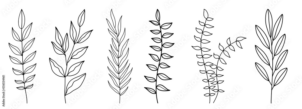 Decorative branch illustration leaves line art Decorative branch illustration leaves line art