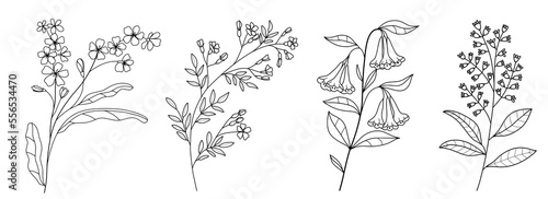 Decorative branch illustration flowers line art