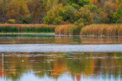 Undisturbed shoreline if a lake during the fall season © Focused Adventures