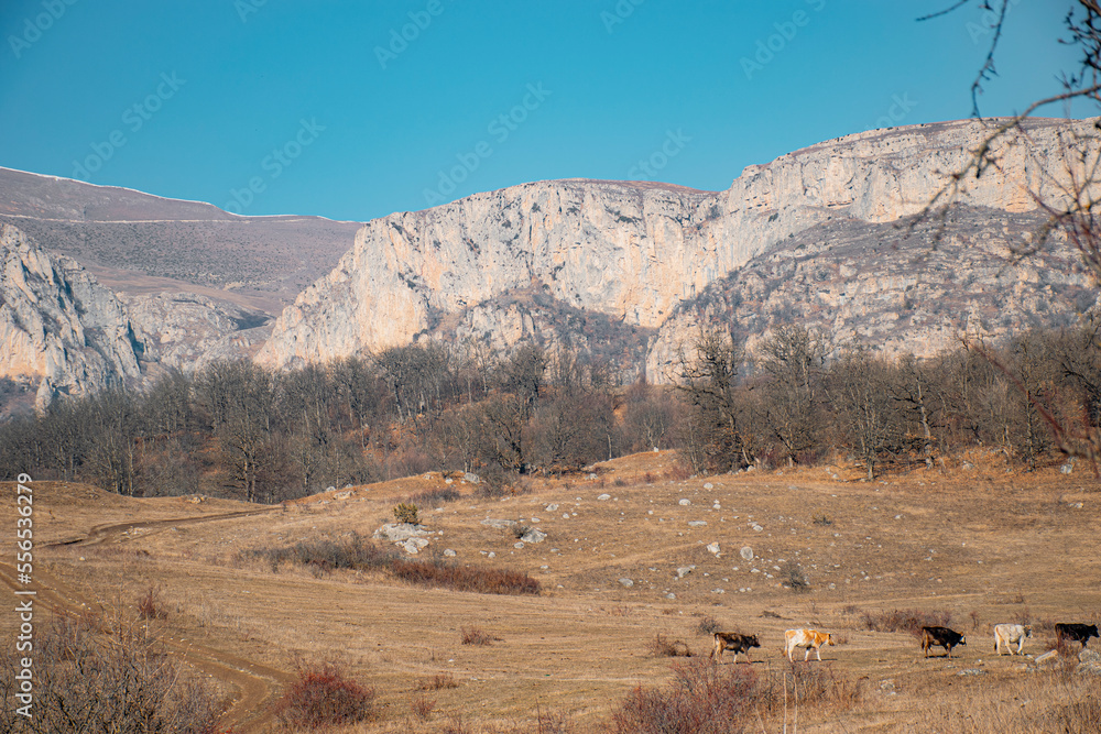beautiful autumn in the mountains beautiful autumn in the mountains