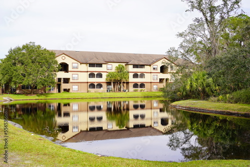 Beautiful winter landscape in New Tampa area