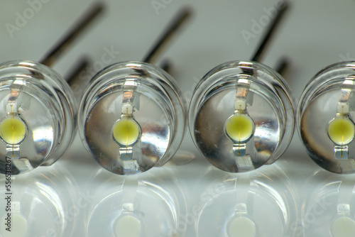 LED micro bulbs. observation of light semiconductor diodes. Electric crystals of light. The concept of lighting equipment and energy savings
