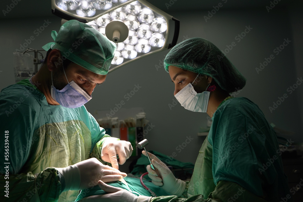 rhinoplasty surgery, defects in the shape of the nose in the female patient. Surgical intervention in plastic surgery rhinoplasty rhinoplasty surgery, defects in the shape of the nose in the female patient. Surgical intervention in plastic surgery rhinoplasty